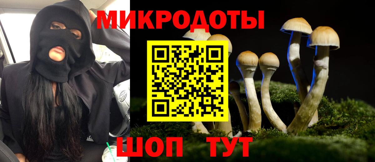 Галлюциногенные грибы мицелий  Галлюциногенные грибы Psilocybe  Кизляр  Вход с VPN 